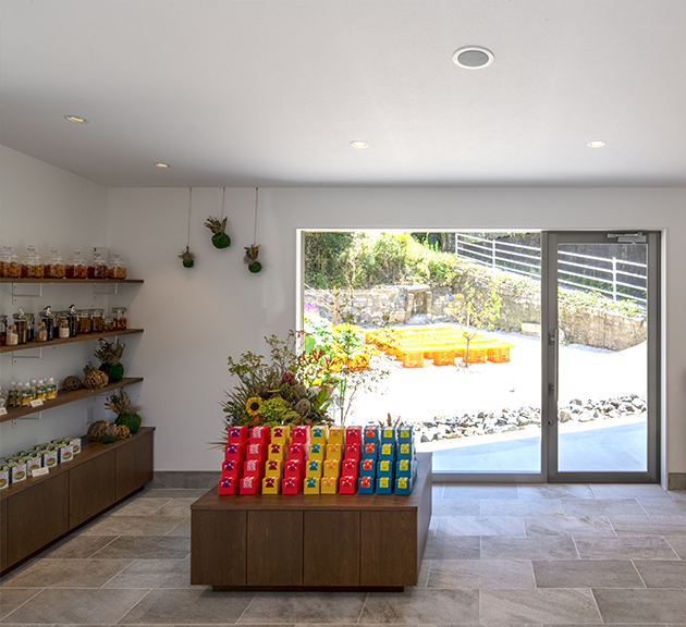 梅体験エリアの一角